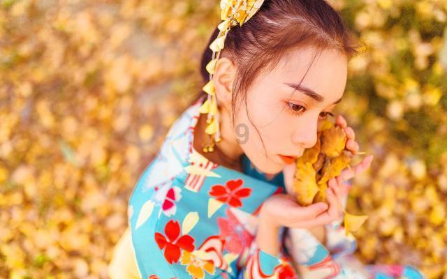 强大的狮子拼图